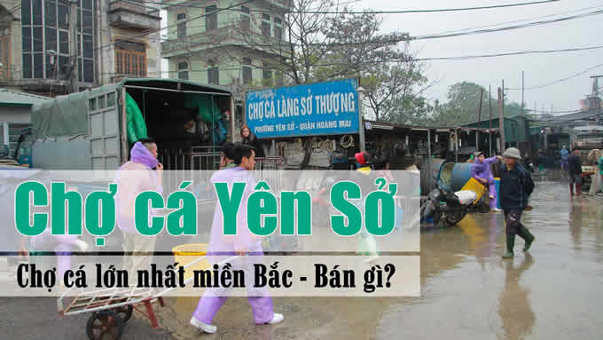 Xem video Chợ cá Yên Sở
