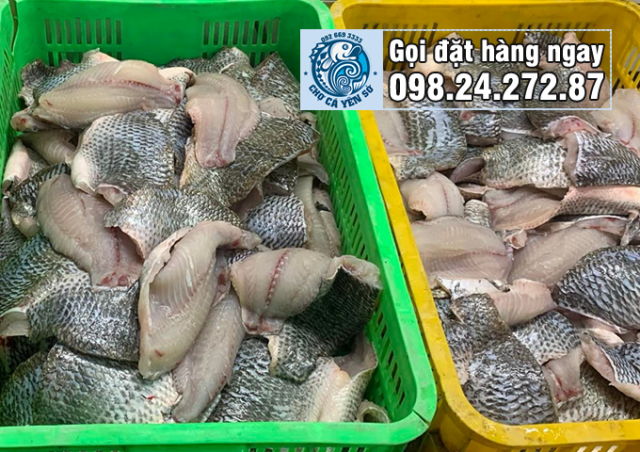 Cung cấp Thịt cá rô phi Fillet 2025 cho quán ăn, bếp ăn công nghiệp tại ...